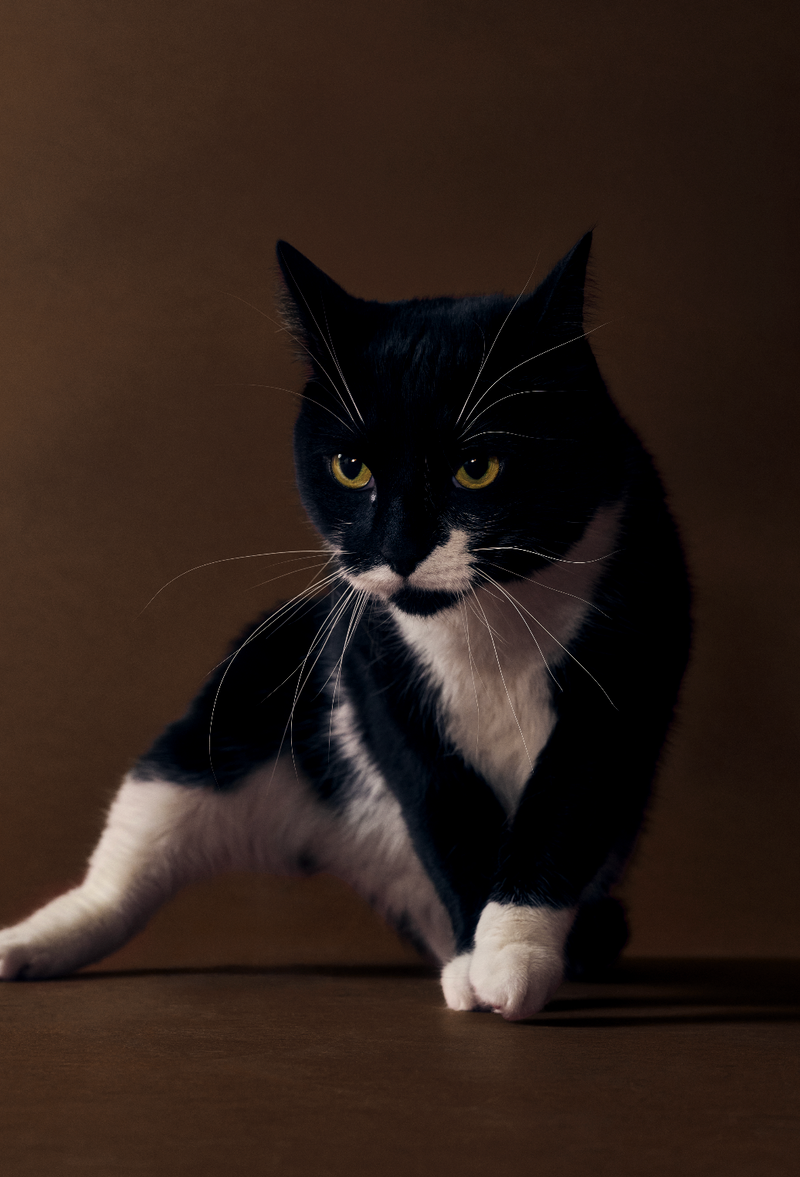TJ