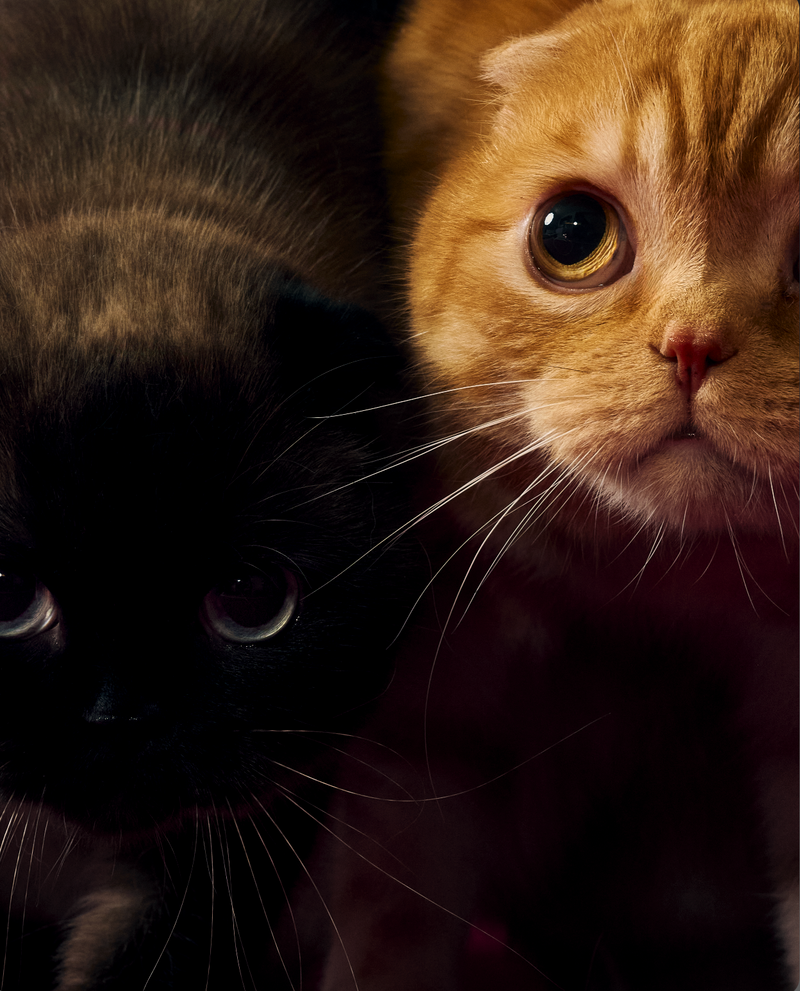 ZOE + JACK