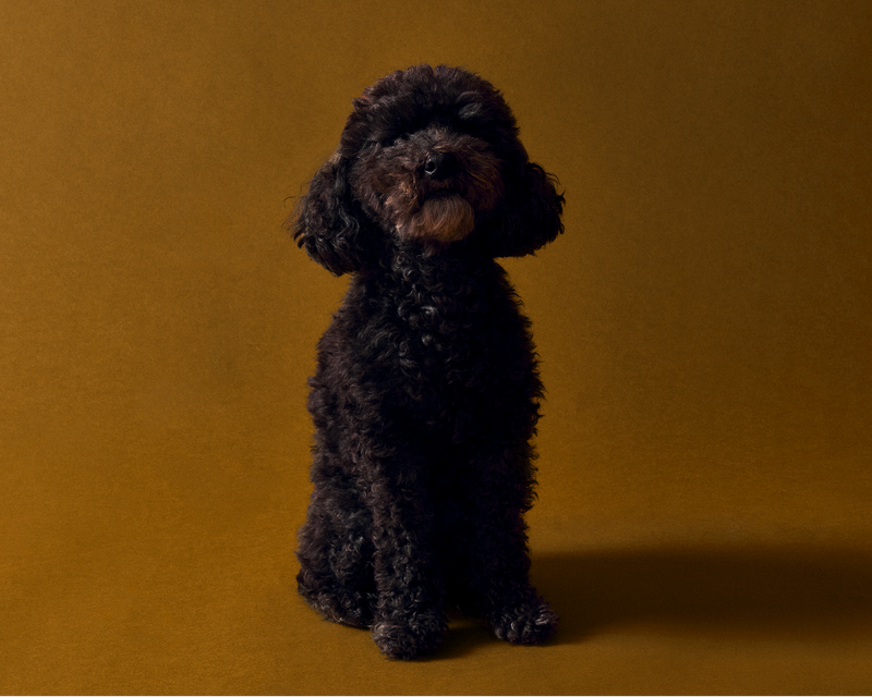 MURPHY